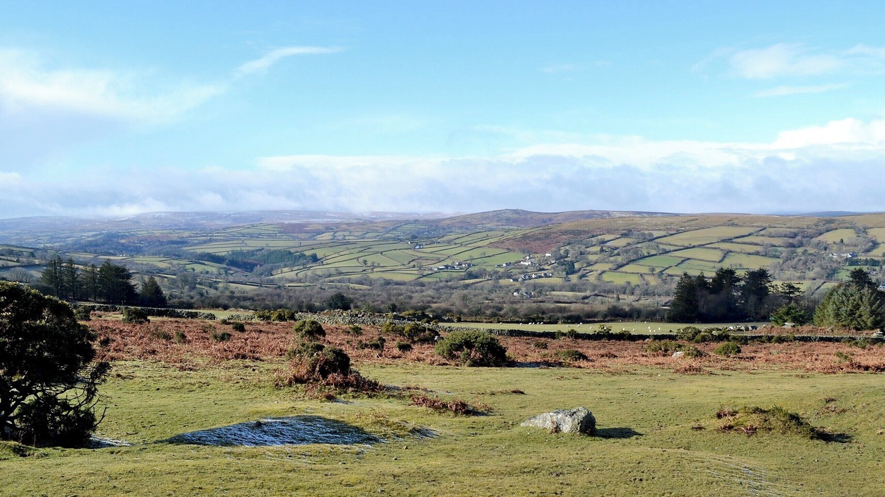 Photo of Others in Beaworthy