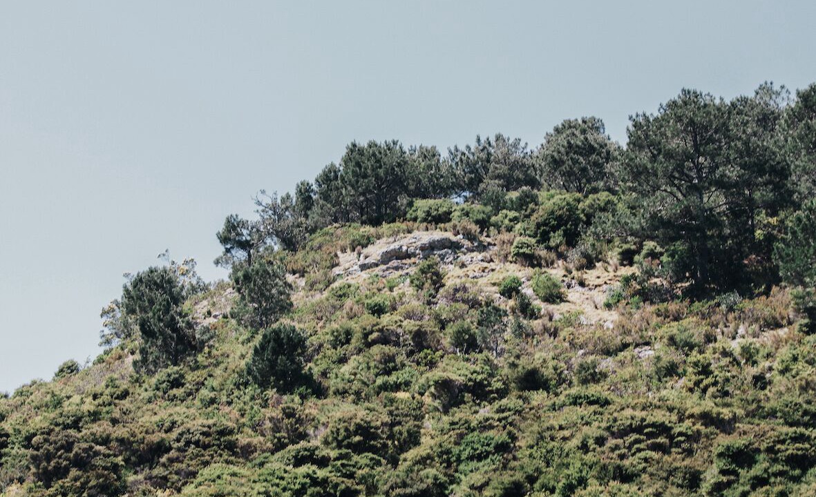 Photo of Outdoor in Waiheke Island