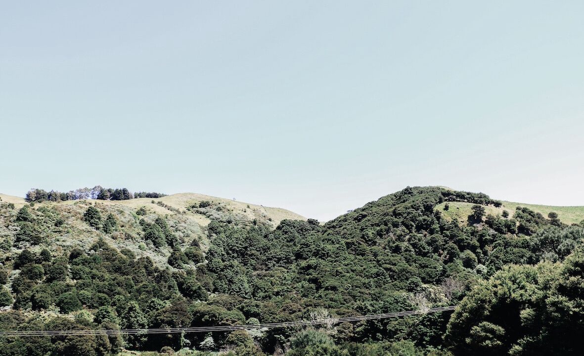 Photo of Outdoor in Waiheke Island