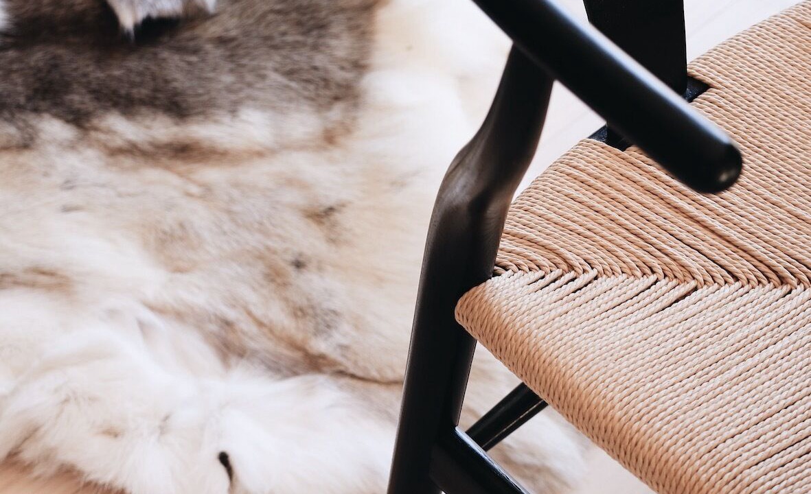 Photo of Others in Waiheke Island