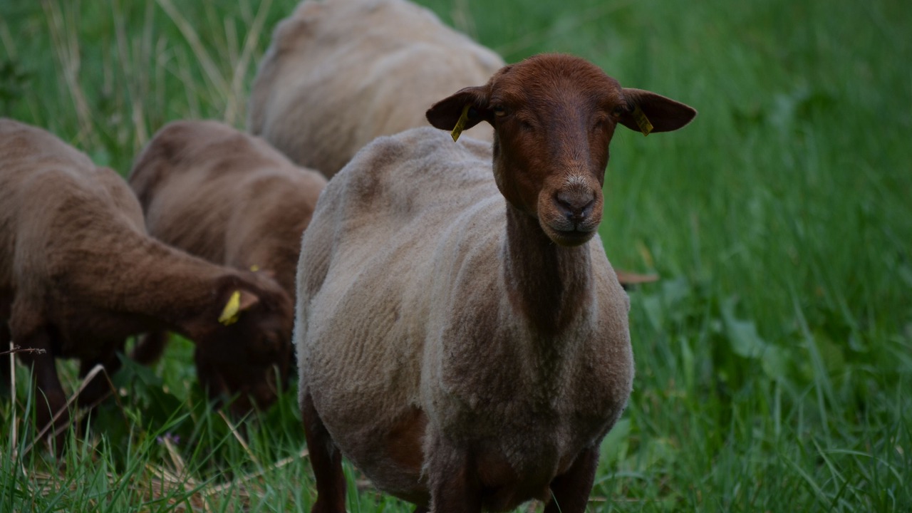 Photo of Outdoor in Villeneuve-sur-Yonne
