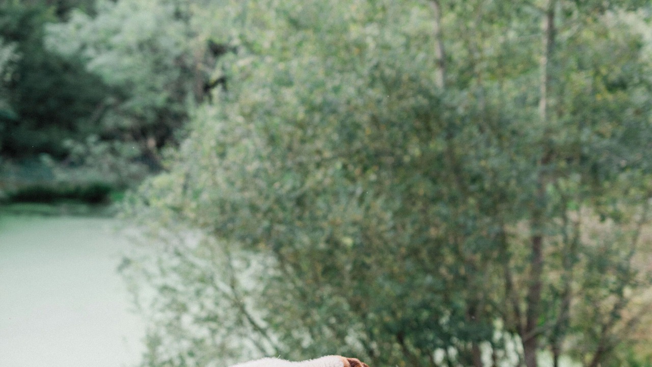 Photo of Others in Villeneuve-sur-Yonne