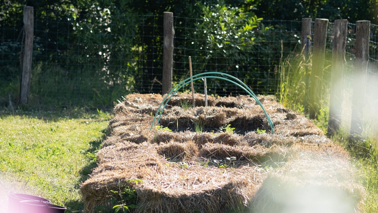 Photo of Outdoor in Villeneuve-sur-Yonne