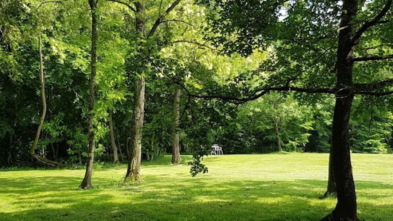 Photo of Others in Villeneuve-sur-Yonne