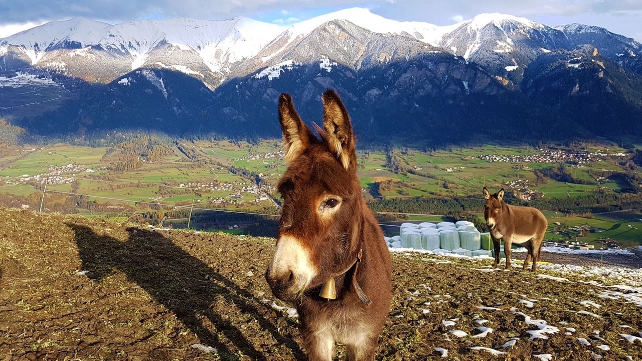 Photo of Outdoor in Cazis