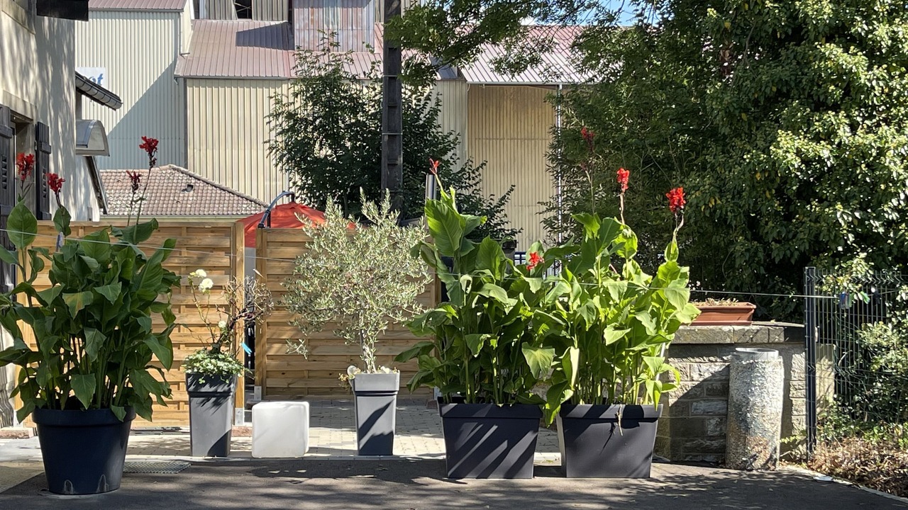 Photo of Outdoor in Corre