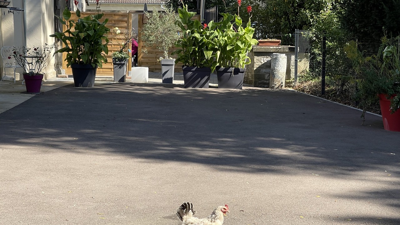 Photo of Outdoor in Corre