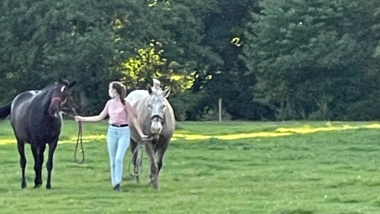 Photo of Others in Corre