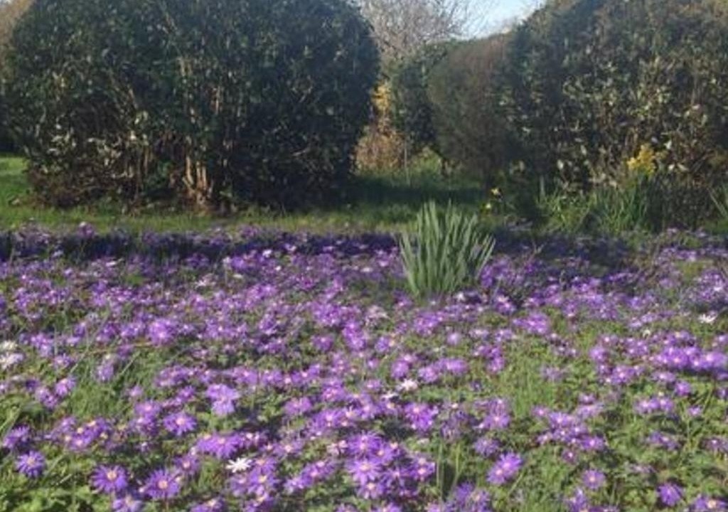 Photo of Outdoor in Florentin