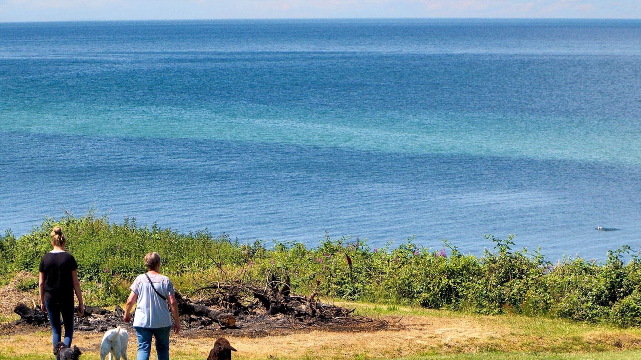 Photo of Others in Smidstrup Strand