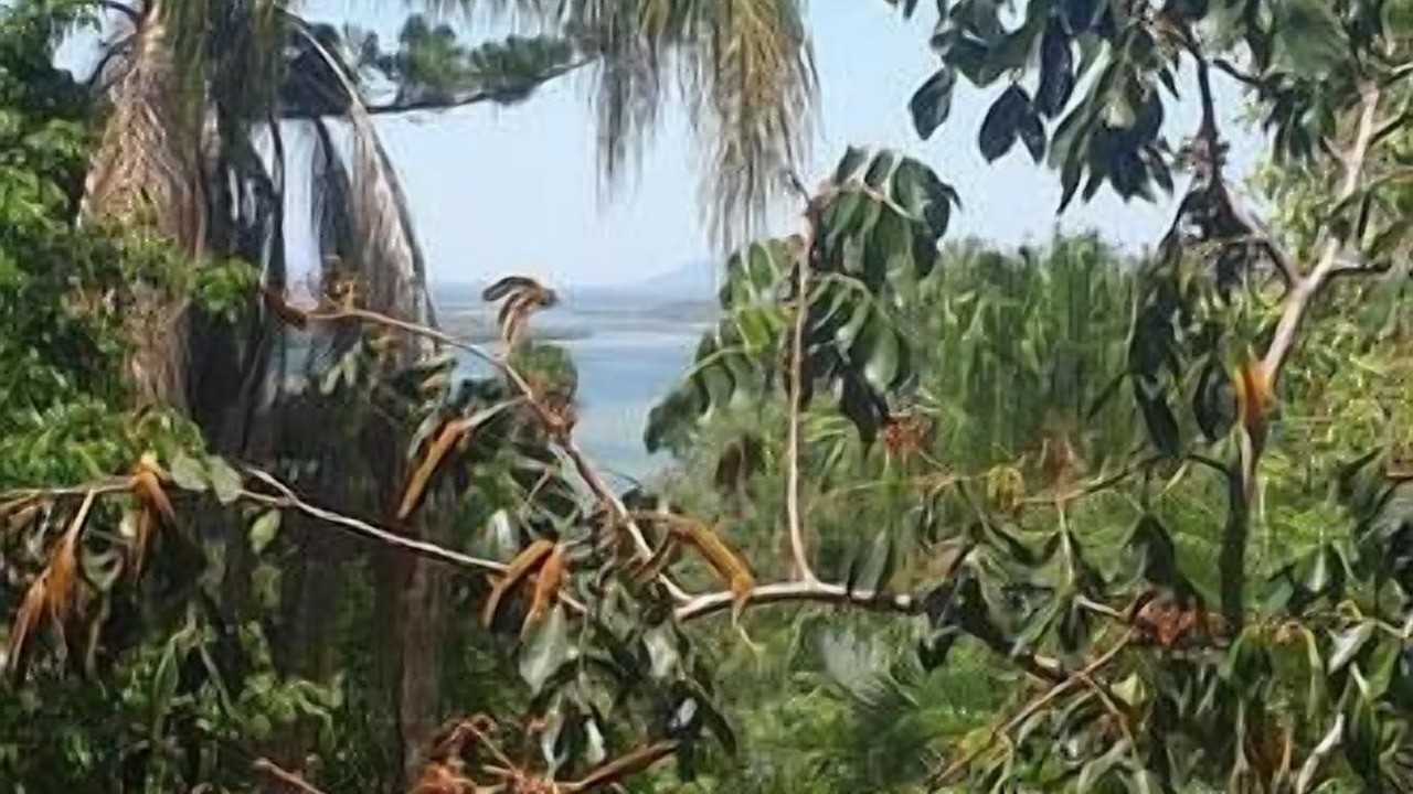 Photo of Others in Seventeen Seventy