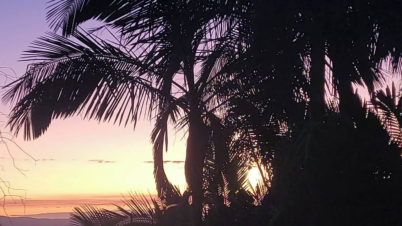 Photo of Others in Seventeen Seventy