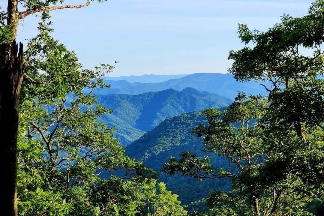 Photo of Others in Cherokee