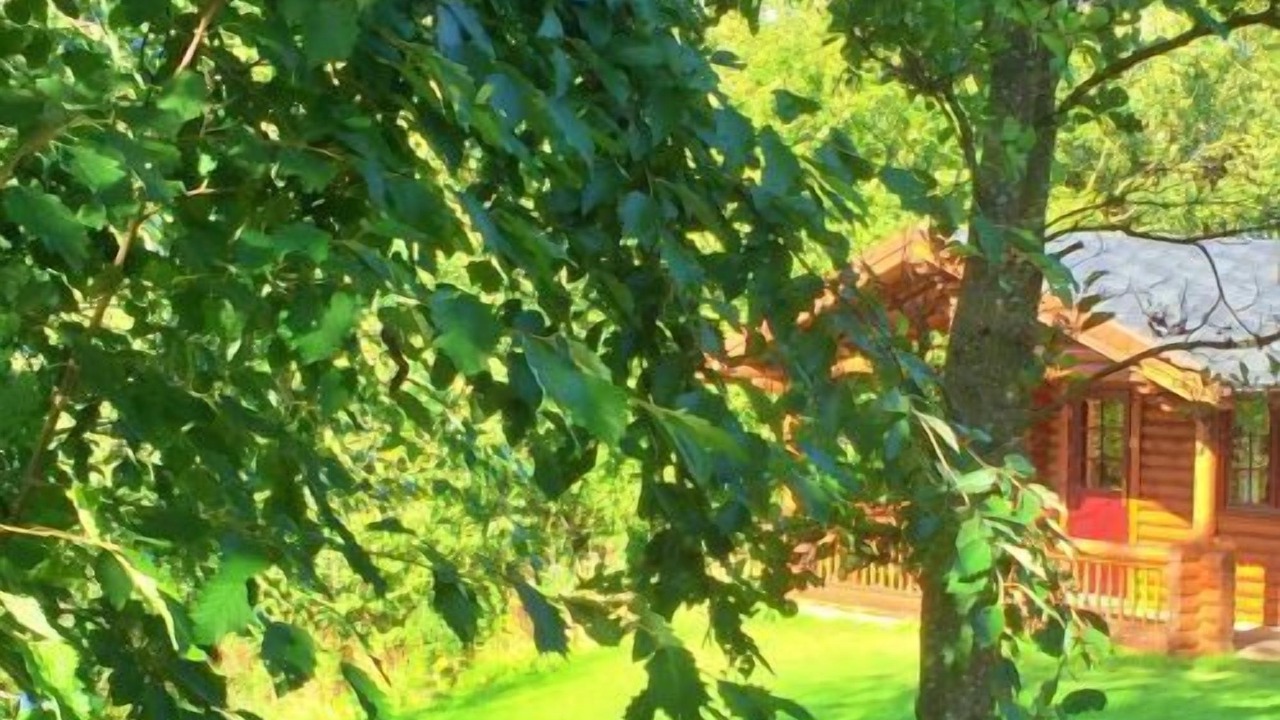 Photo of Outdoor in Morpeth