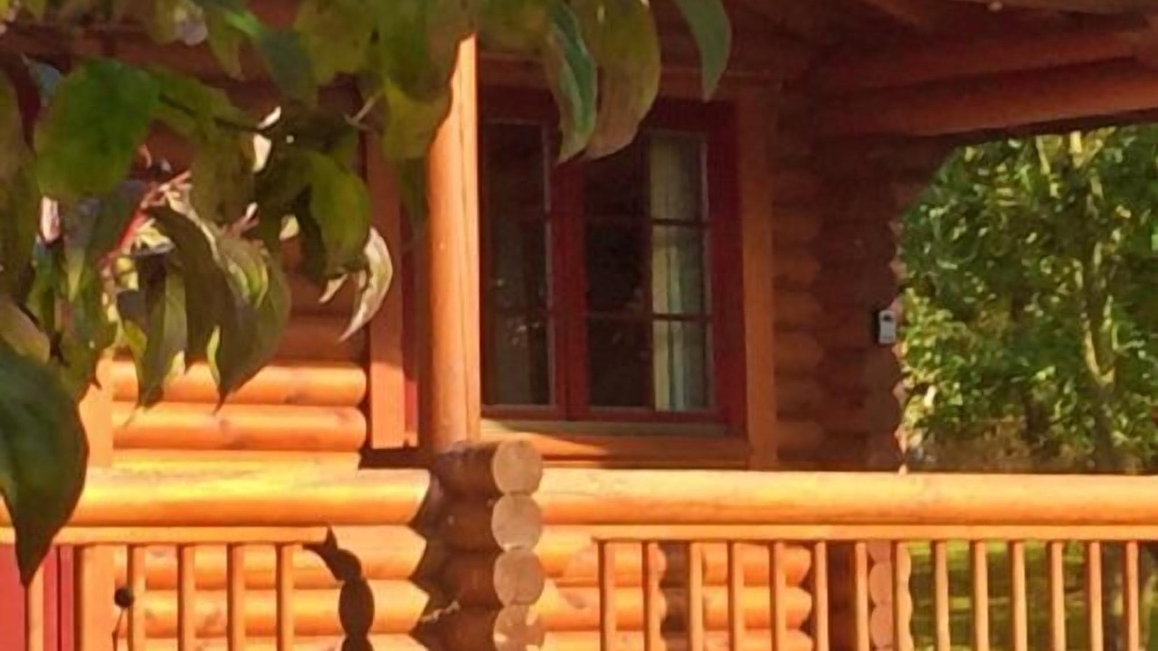 Photo of Outdoor in Morpeth