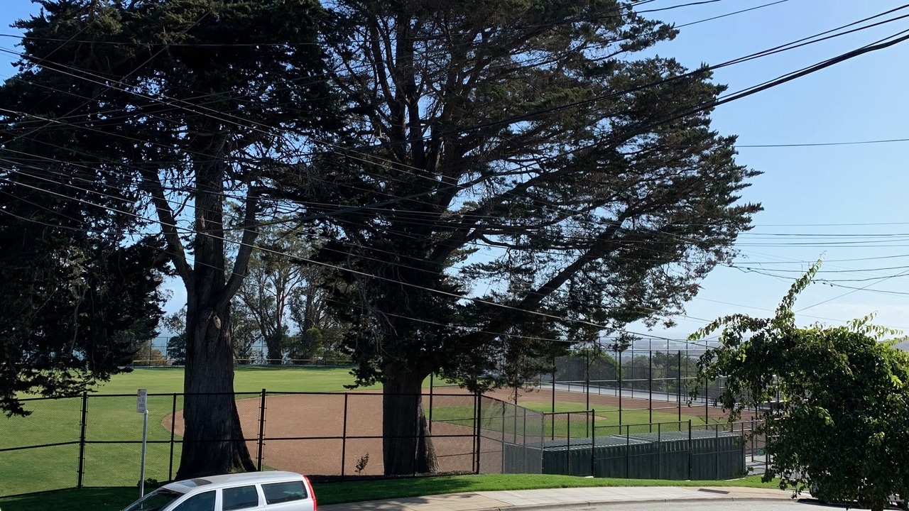 Photo of Outdoor in Potrero Hill