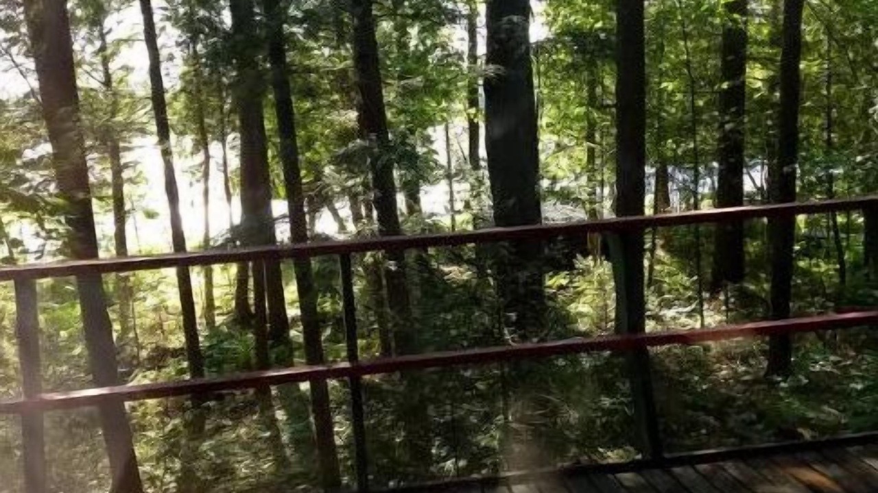 Photo of Outdoor in Paul Smiths