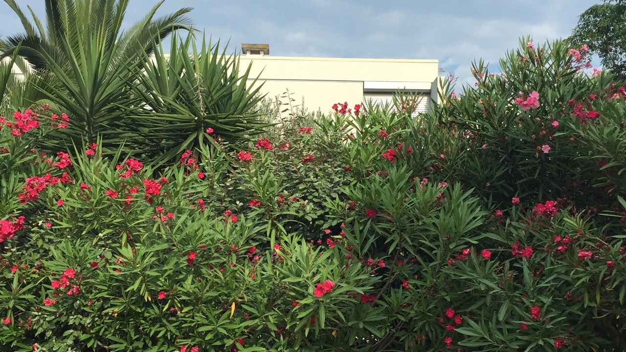 Photo of Outdoor in Canet-Plage