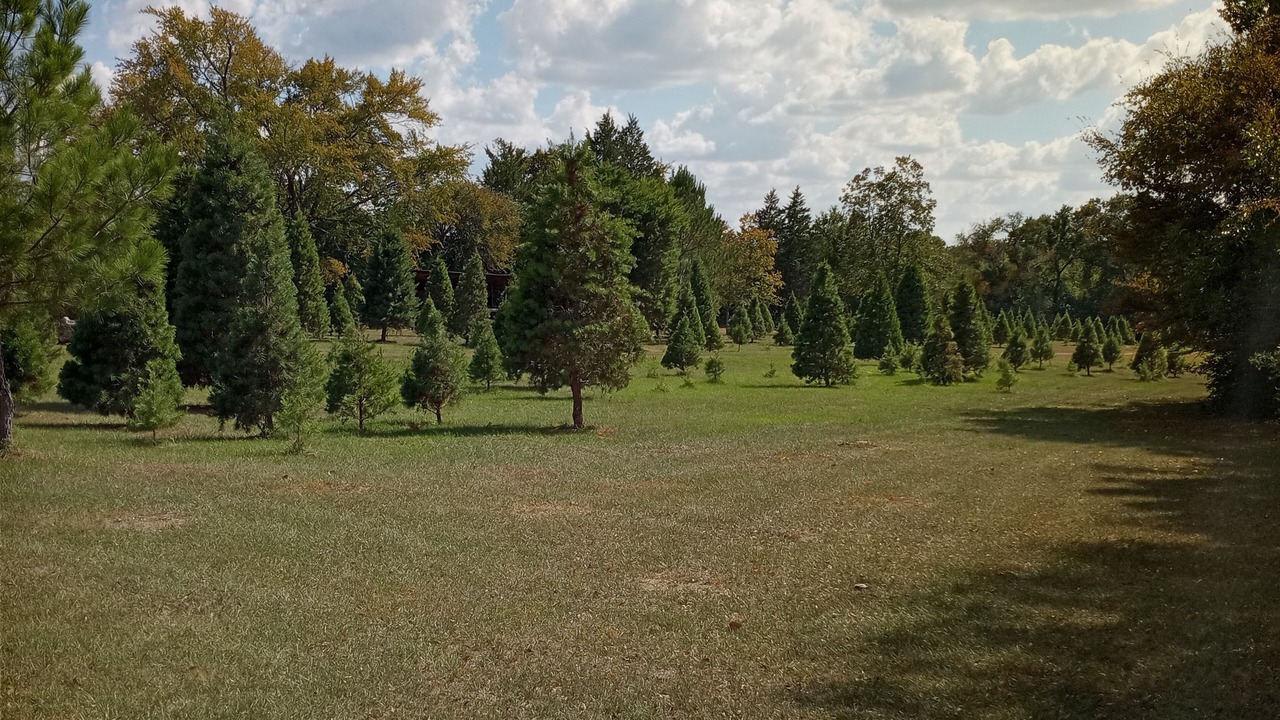 Photo of Outdoor in Bryan
