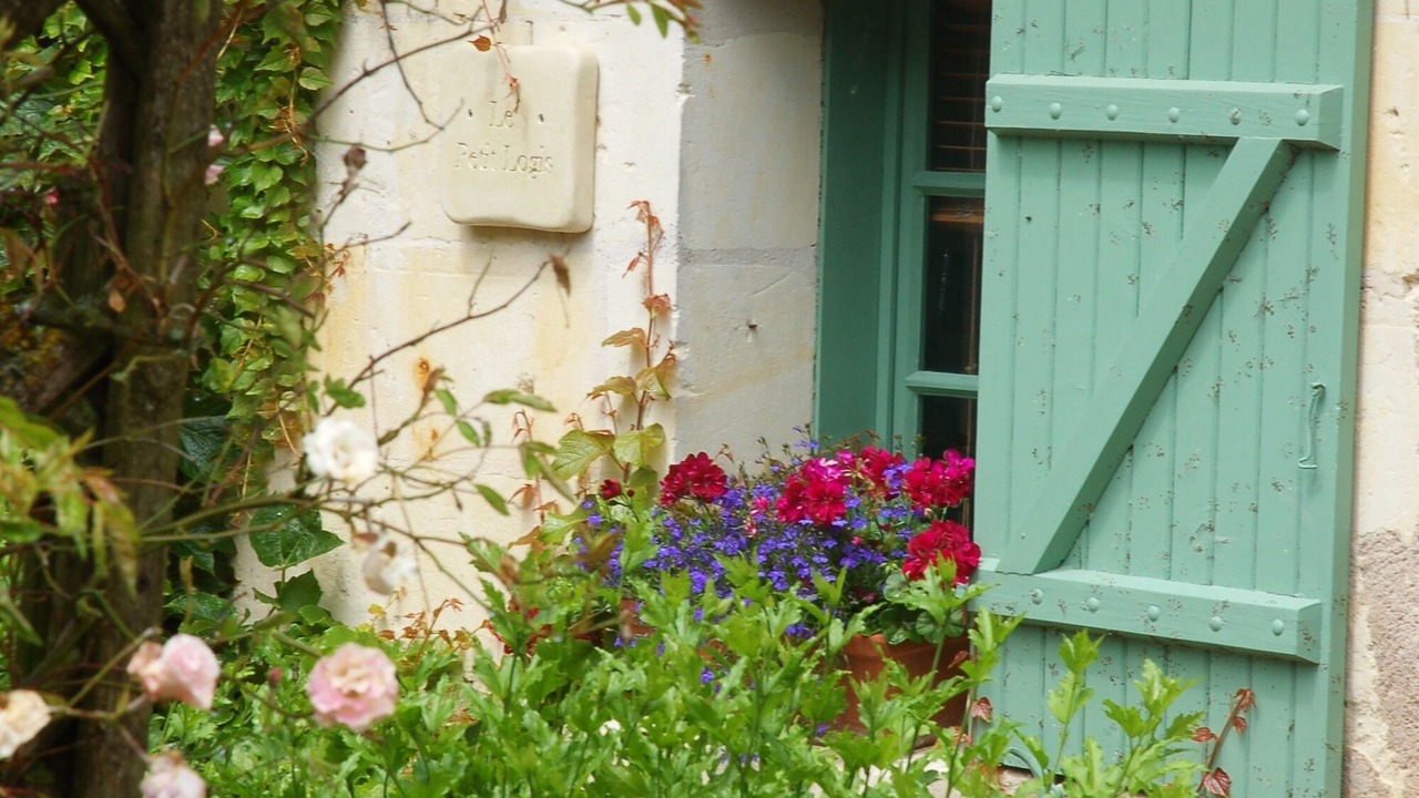 Photo of Outdoor in Brion