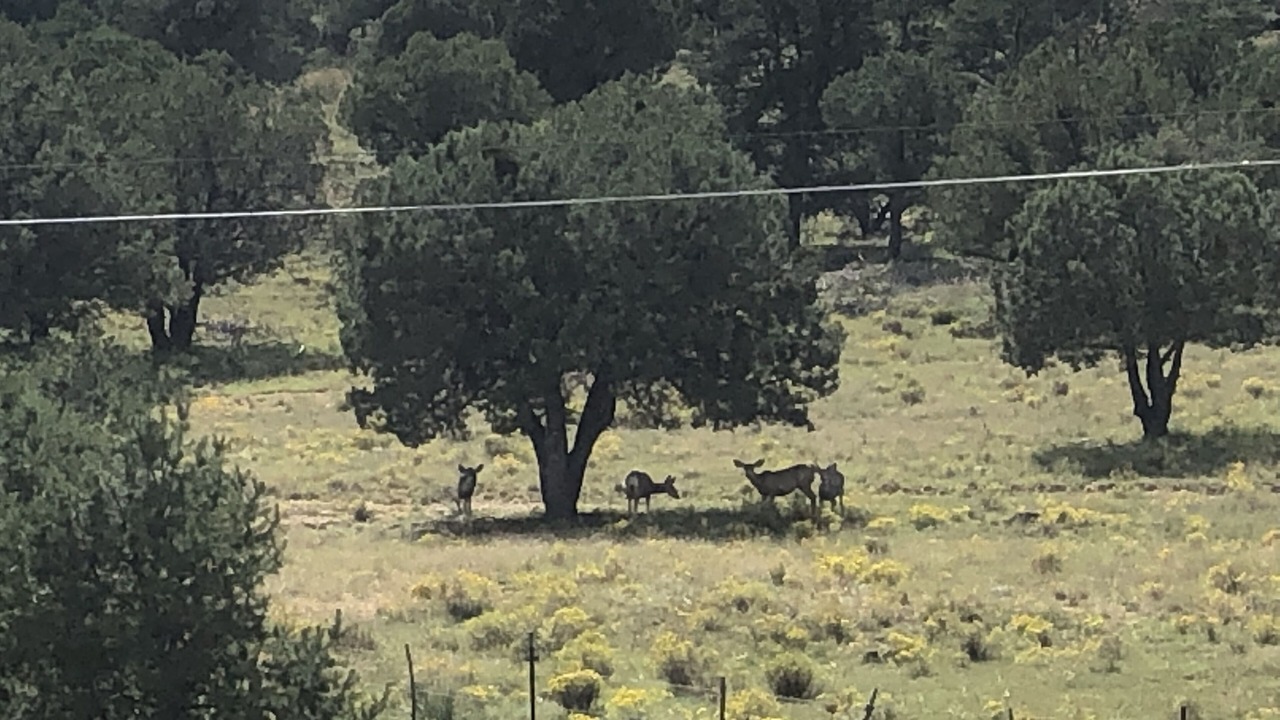 Photo of Outdoor in Tyrone