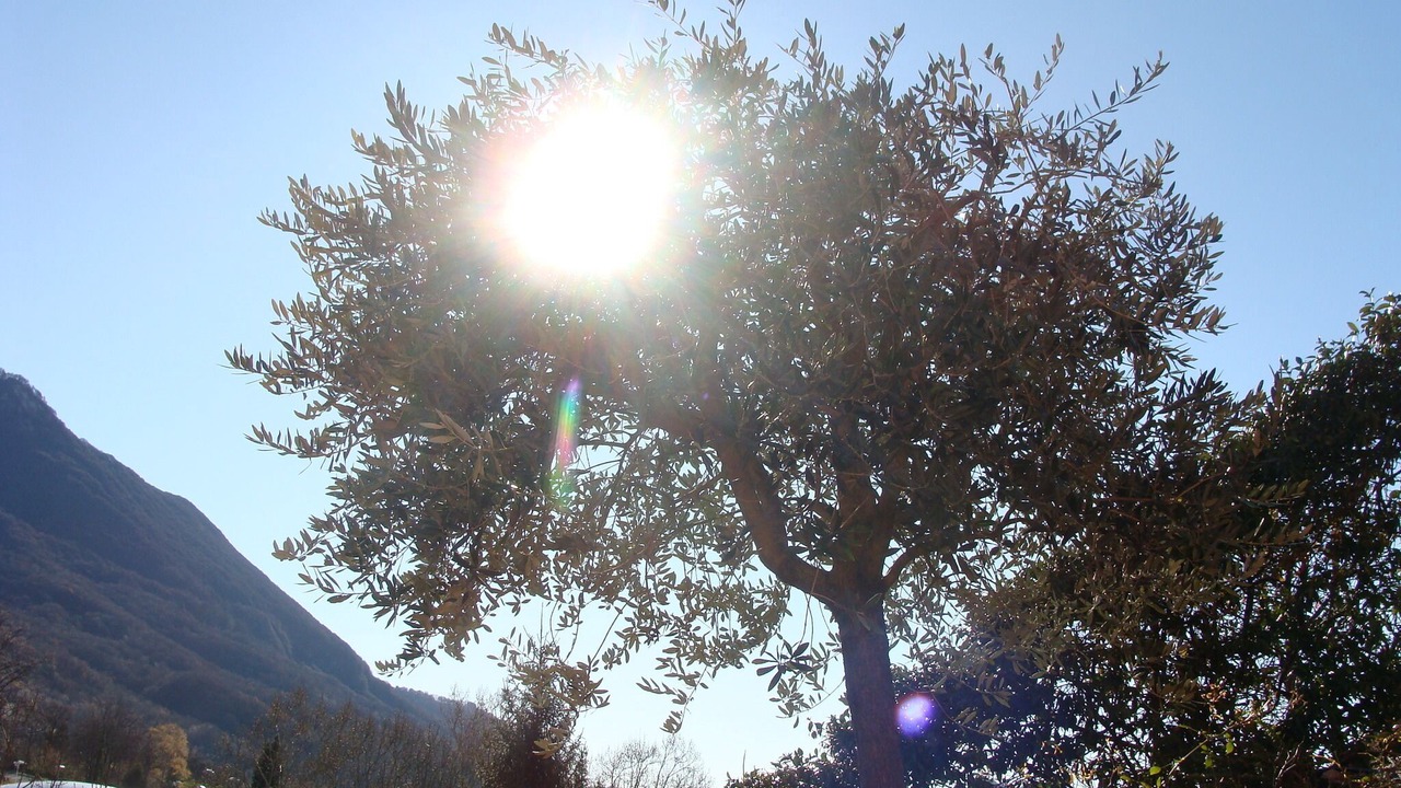 Photo of Outdoor in Sonvico