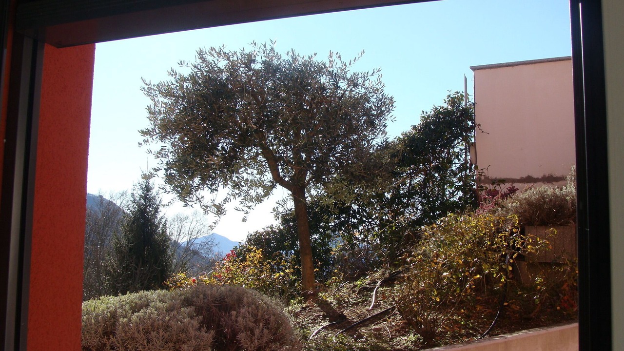 Photo of Others in Sonvico
