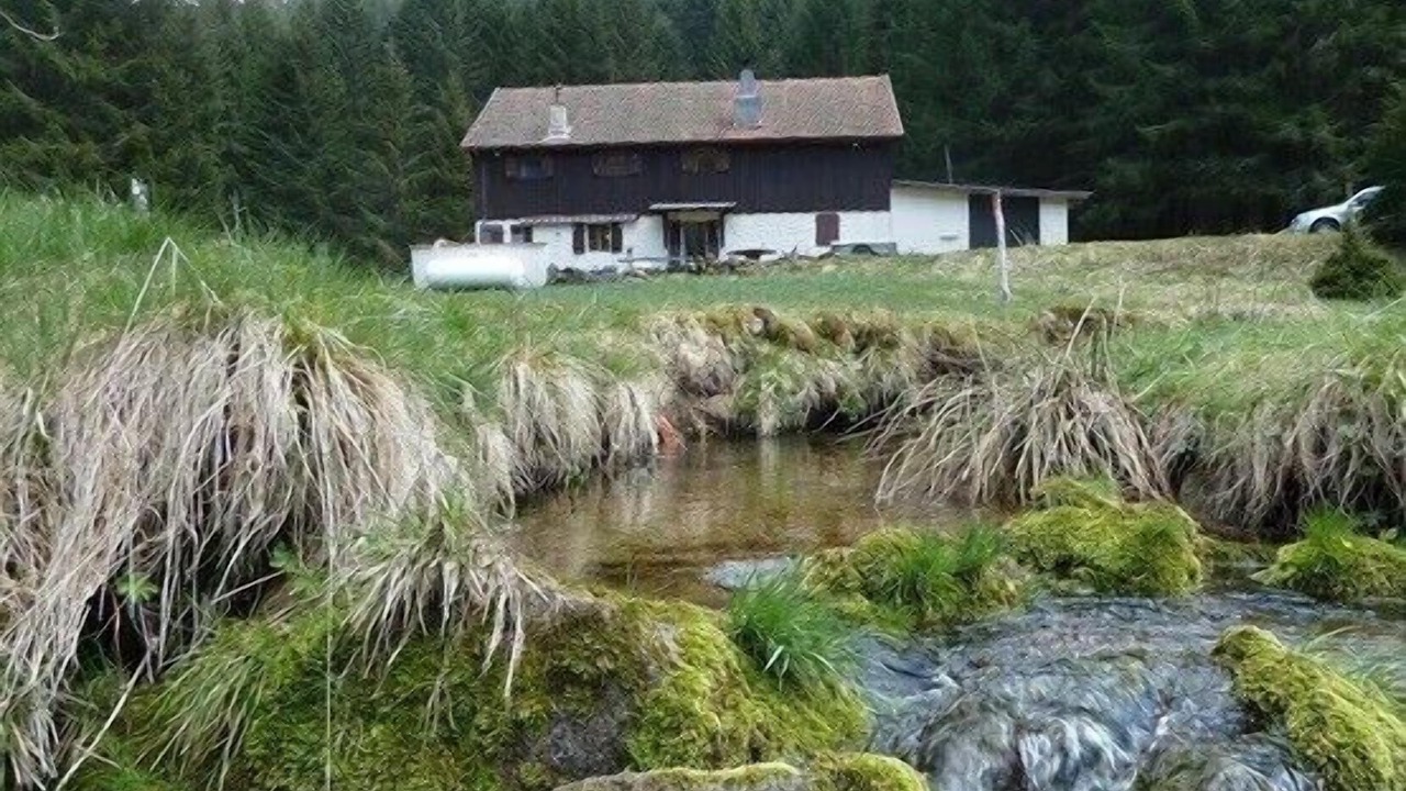 Photo of Outdoor in Le Valtin