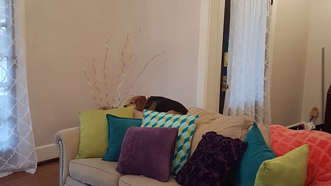Photo of Livingroom in Bonnycastle