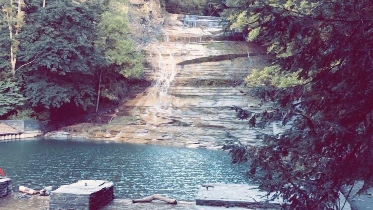 Photo of Others in South Hill