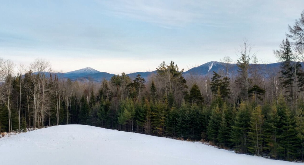 Photo of Others in Bloomingdale