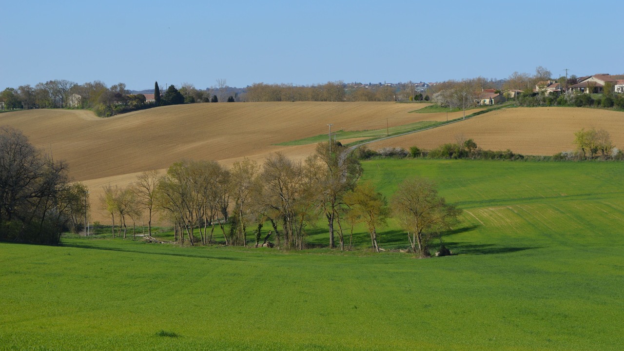 Photo of Others in Cadours