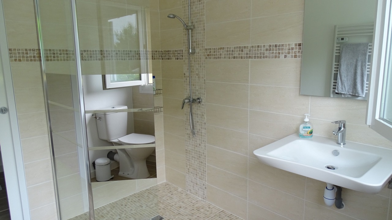 Photo of Bathroom in Savigny-en-Veron