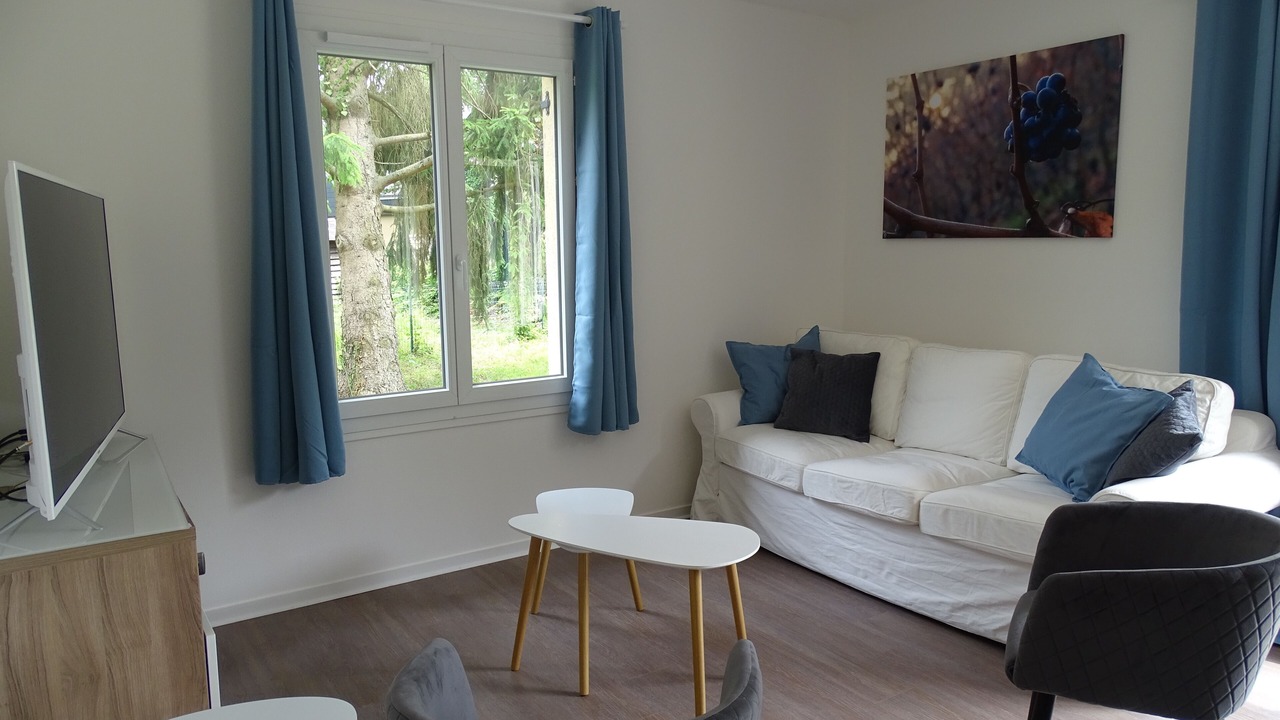Photo of Livingroom in Savigny-en-Veron