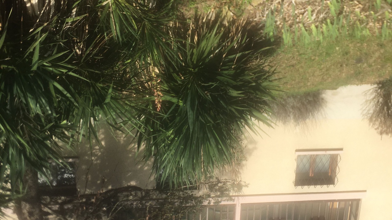 Photo of Outdoor in Revel