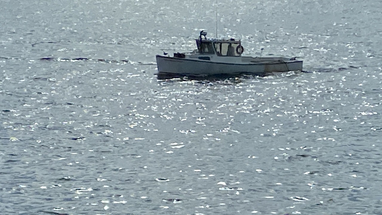 Photo of Others in Fortunes Rocks