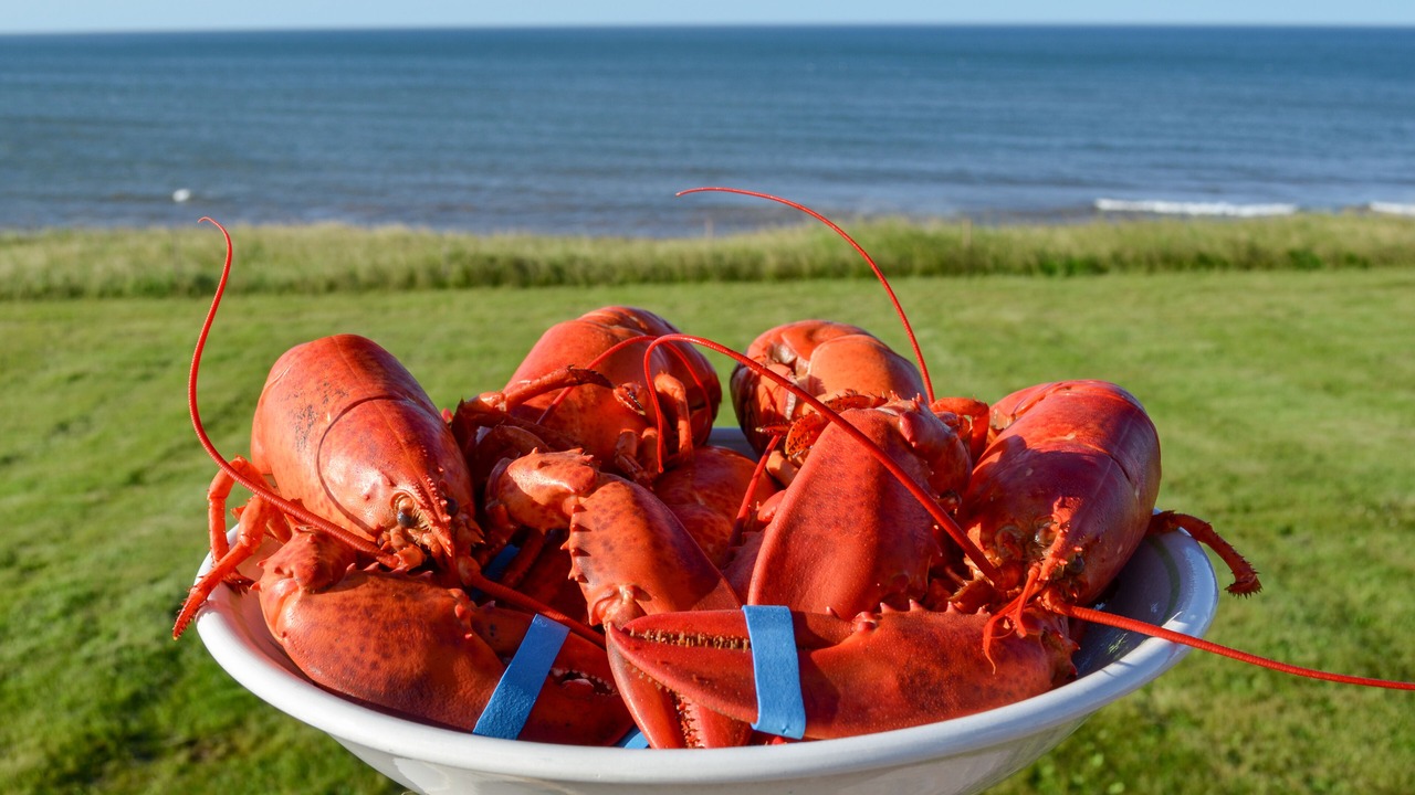 Photo of Others in Anglo Rustico