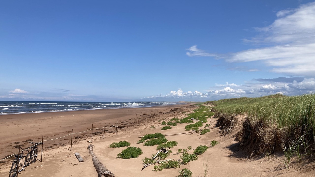 Photo of Others in Anglo Rustico