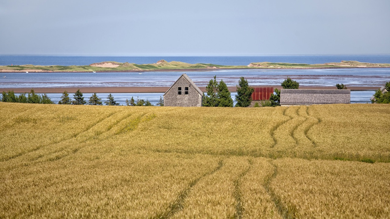 Photo of Others in Anglo Rustico