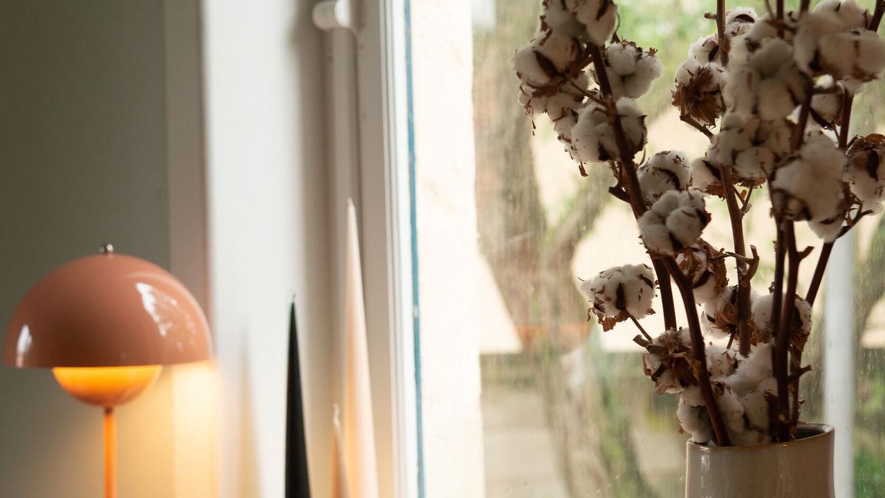 Photo of Others in Wimereux