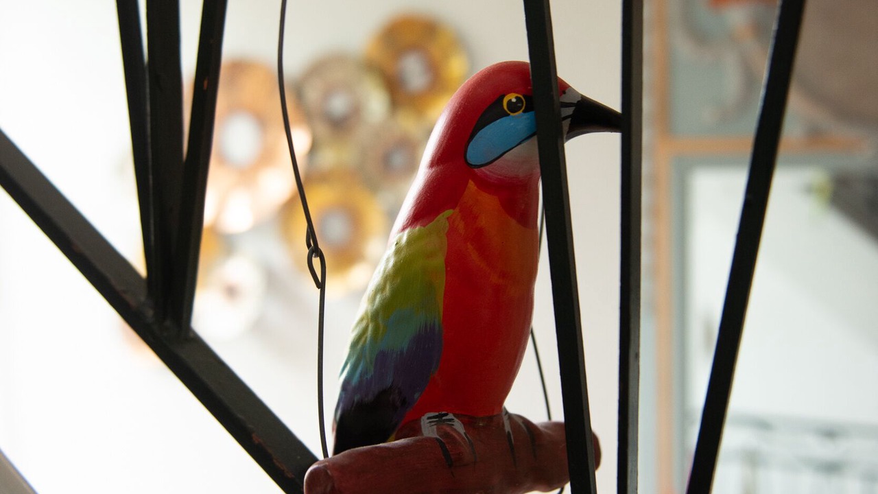 Photo of Others in Wimereux