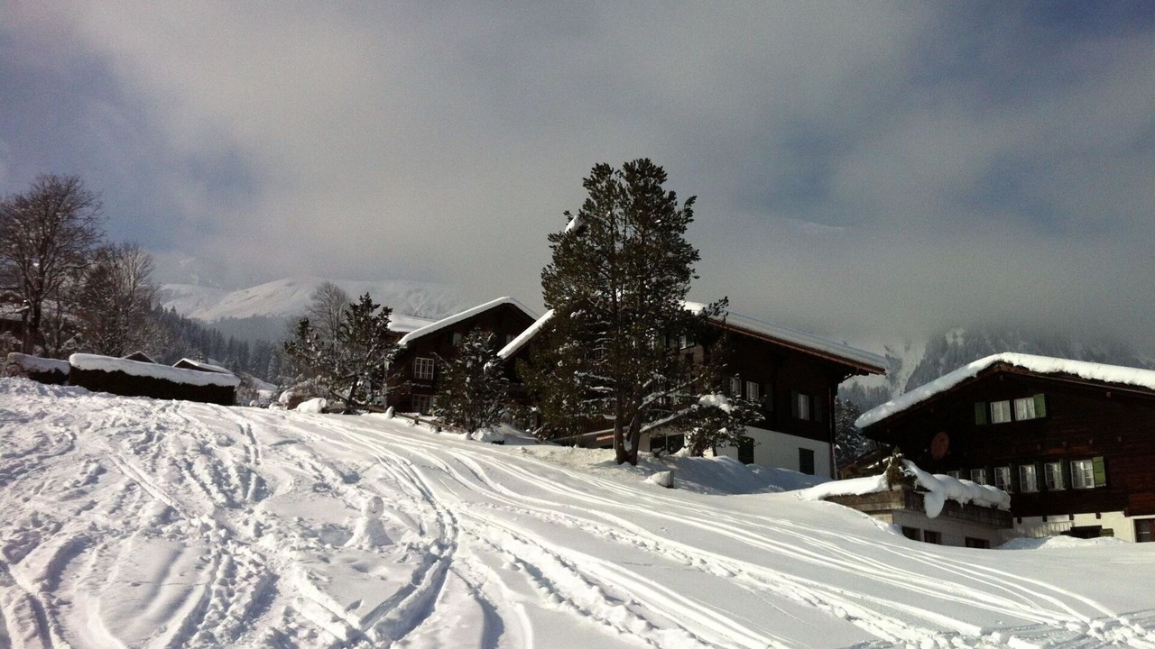 Photo of Others in Lenk