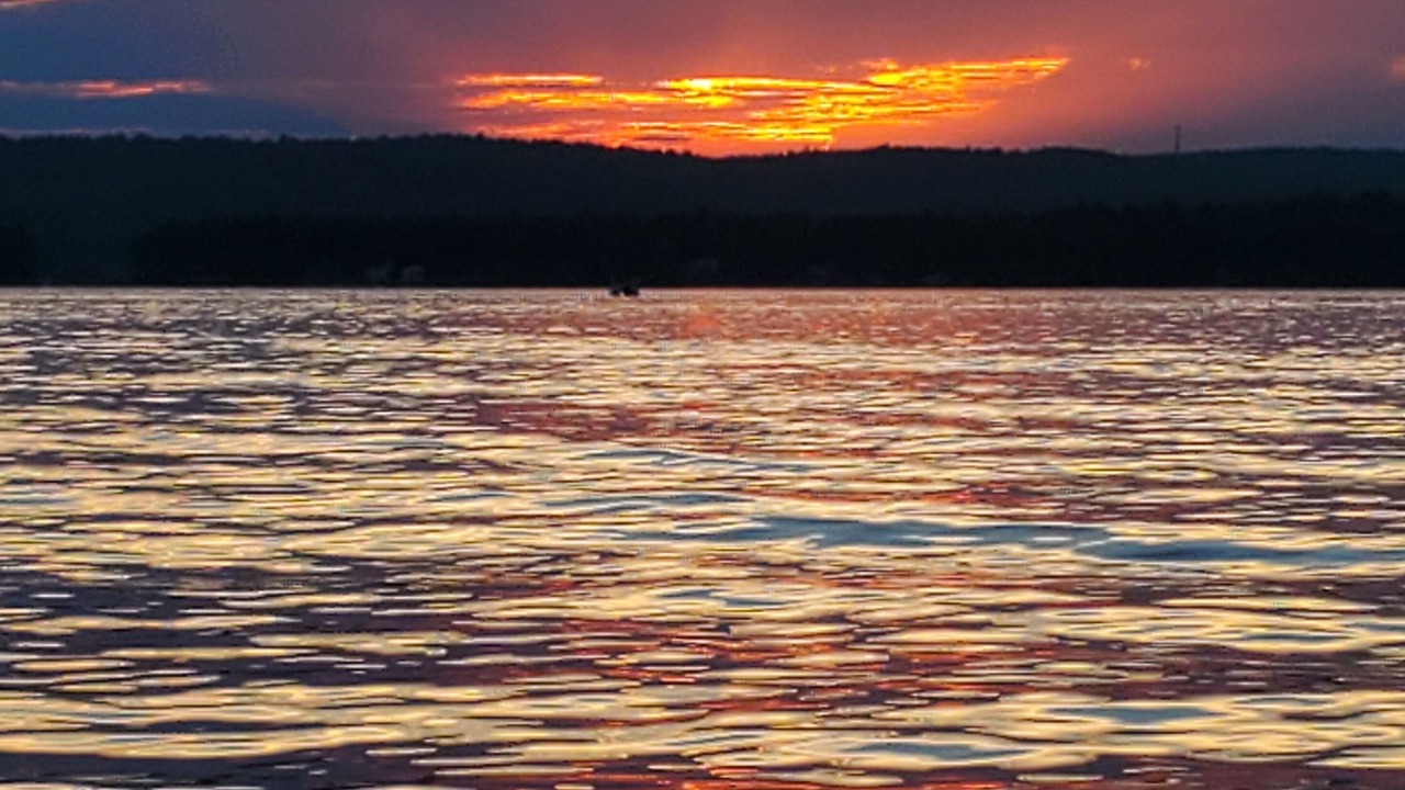 Photo of Others in Acton