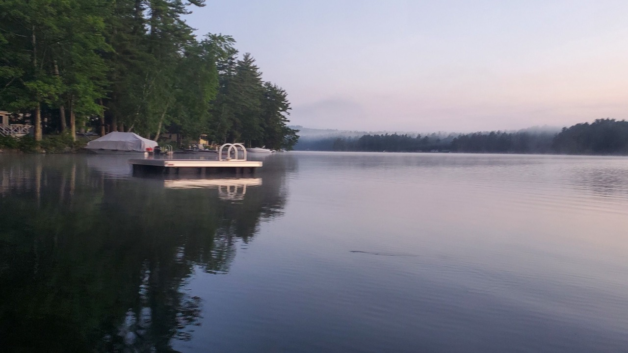 Photo of Others in Acton