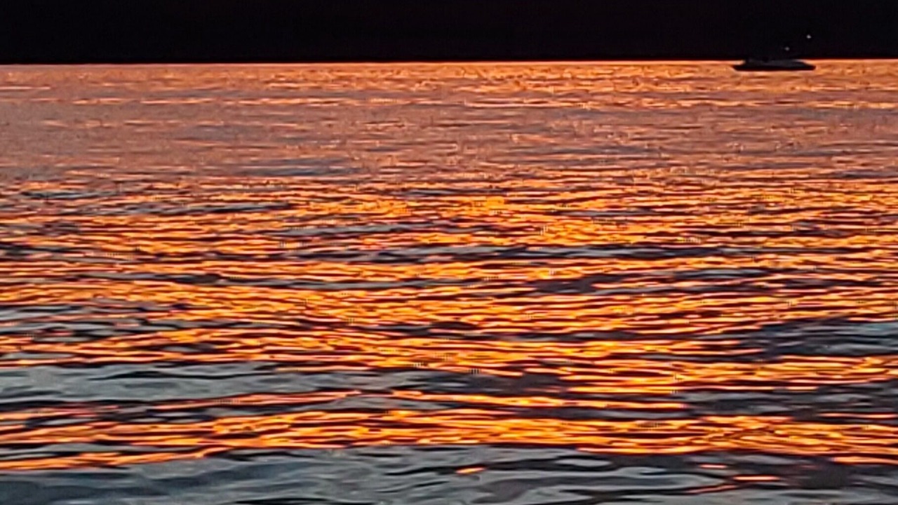 Photo of Others in Acton