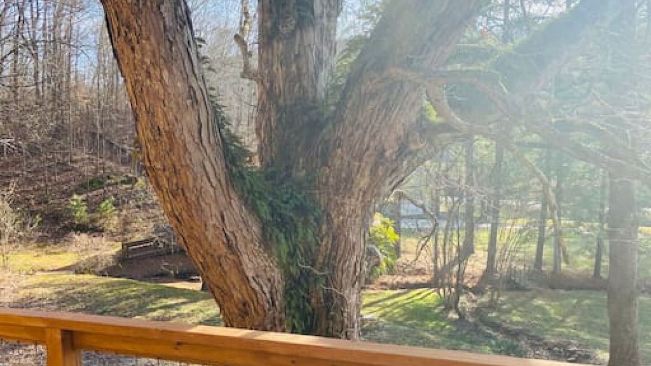 Photo of Outdoor in Guild