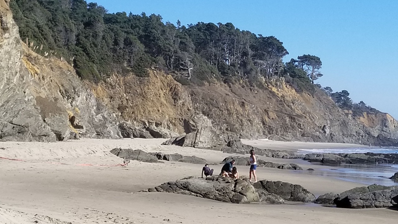 Photo of Others in Anchor Bay