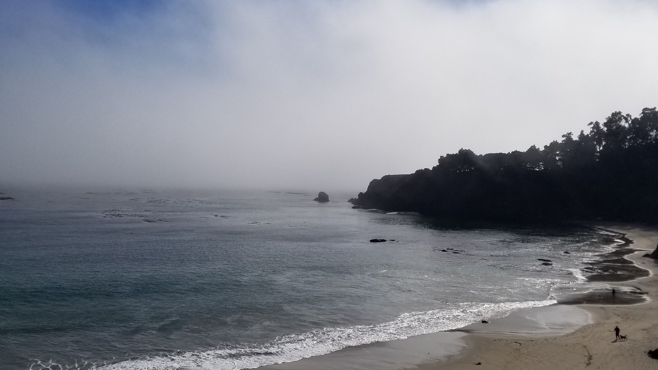 Photo of Others in Anchor Bay