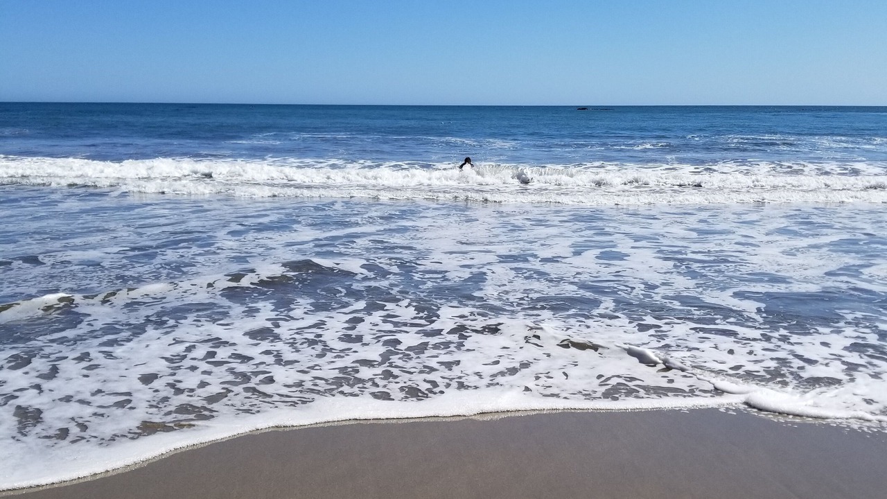 Photo of Others in Anchor Bay