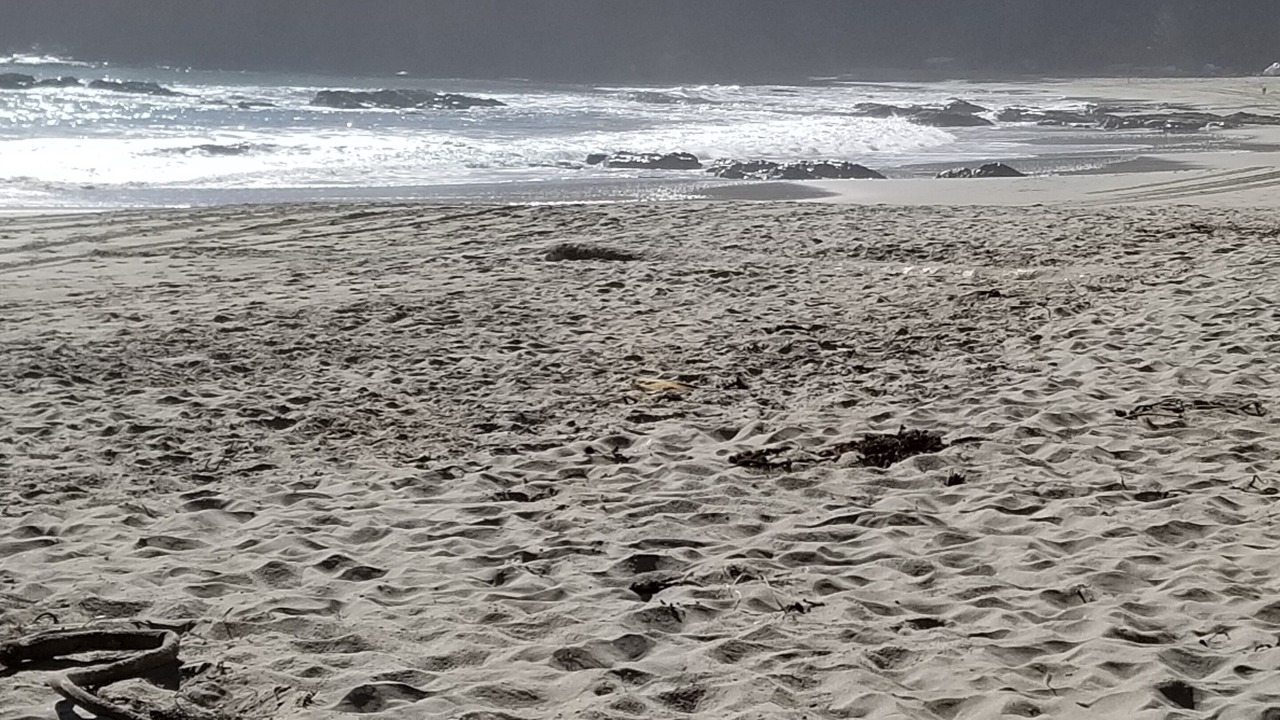 Photo of Others in Anchor Bay